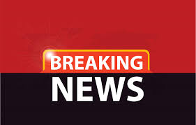 Rahul Gandhi On Brazilian Model: भारतात 22 वेळा मतदान करणारी ‘ती’ ब्राझीलियन मॉडेल कोण? राहुल गांधींचा स्फोटक दावा, आरोपांची राळ उठवली